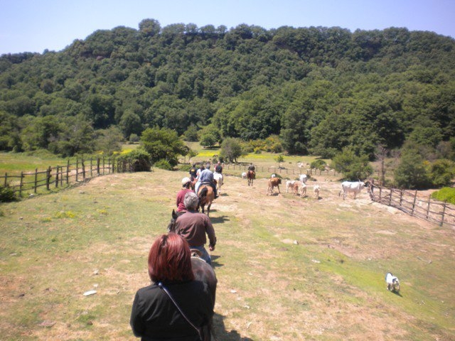 in sella a Canale Monterano